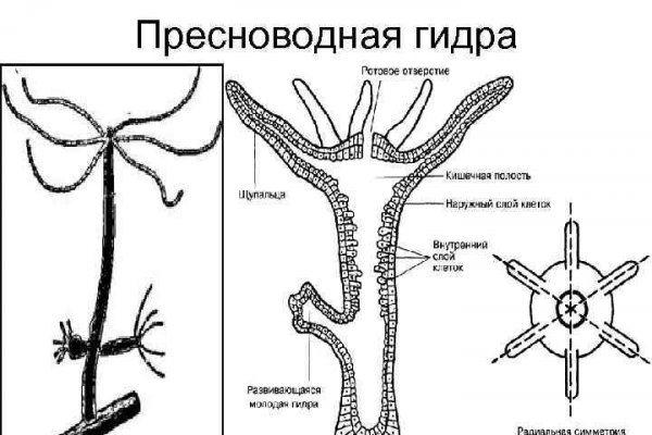 Где купить гашиш